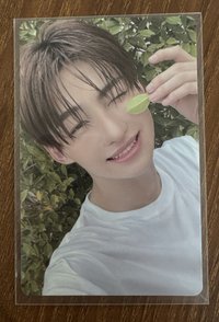 迷二 now ver. 5