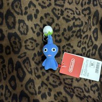 藍皮