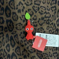 紅皮
