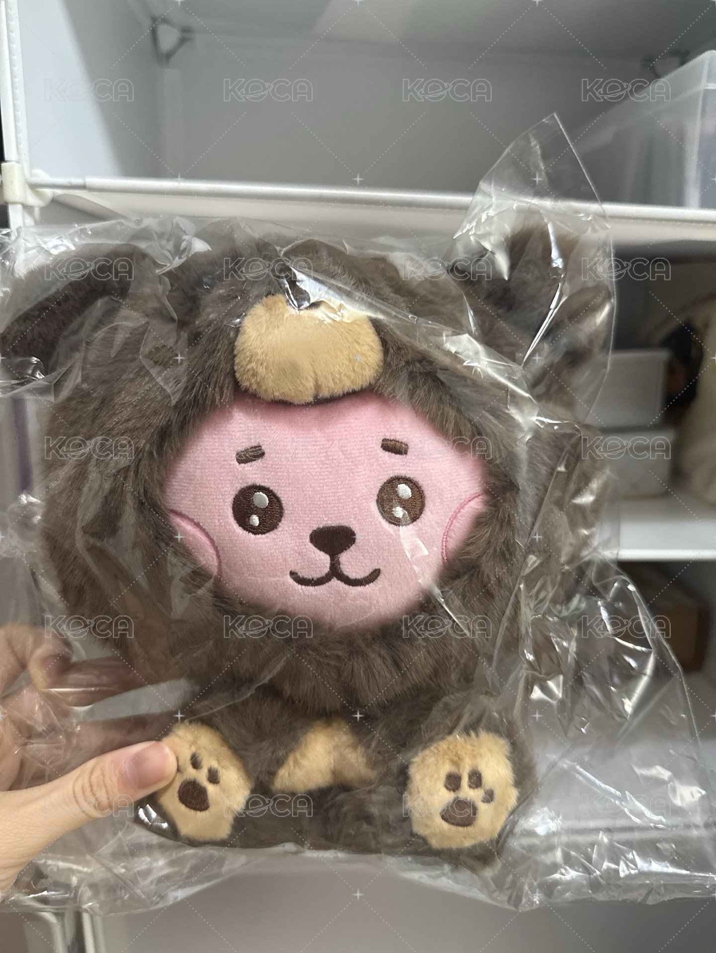 COOKY大娃 
