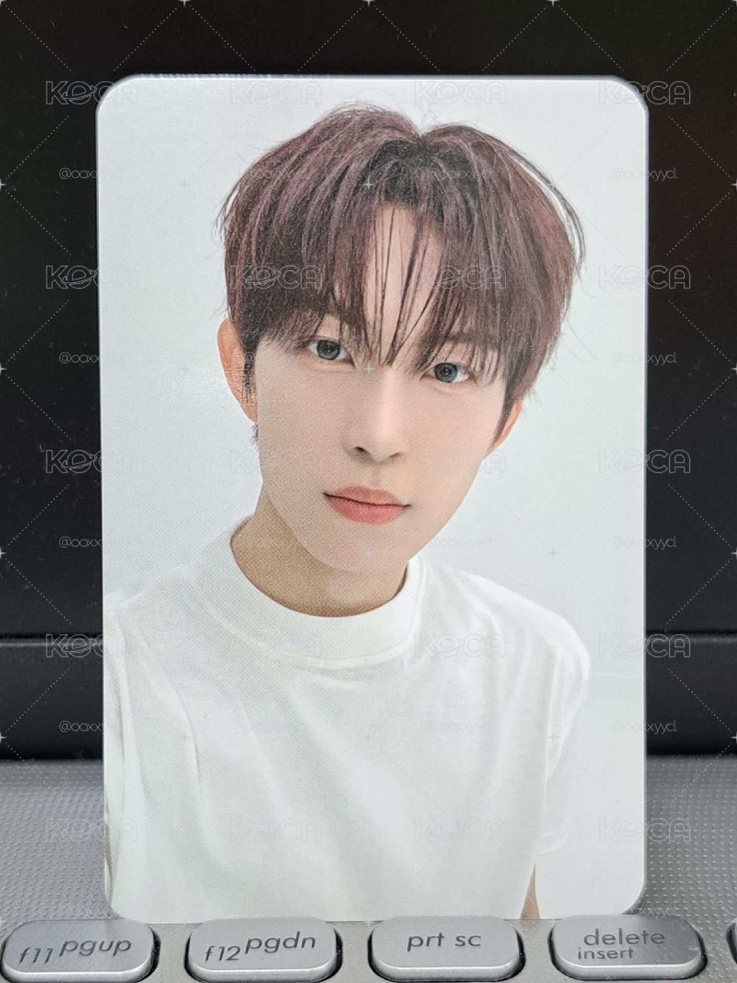 sw 自由POSE 虔佑