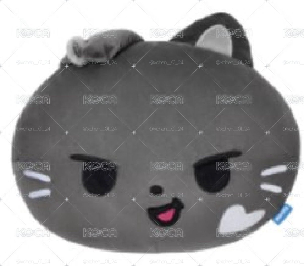 現貨 朴綜星抱枕 