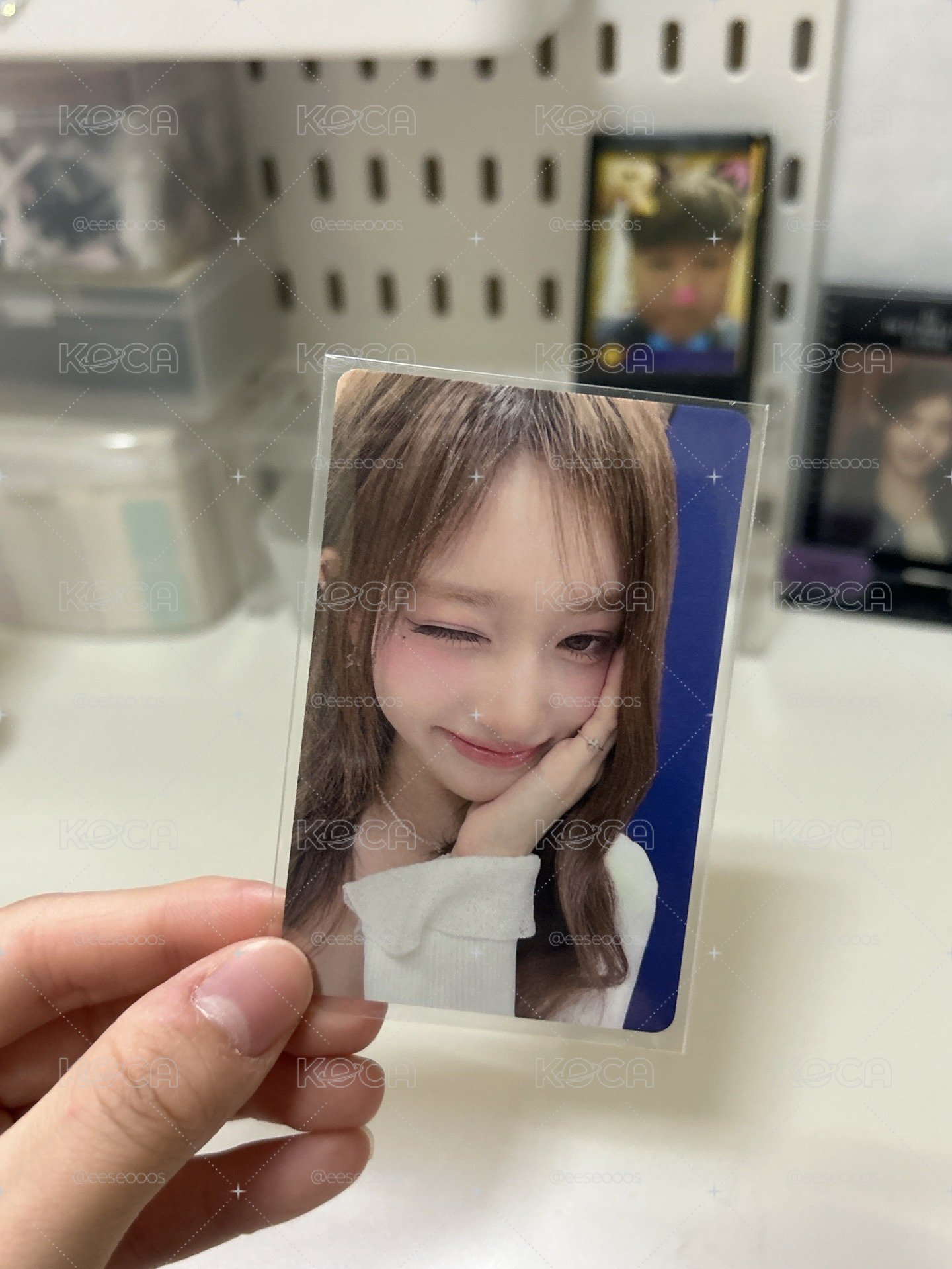 瑞卡