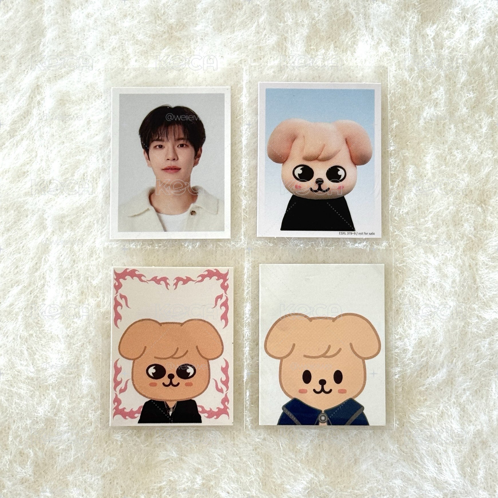 Stray kids 金昇玟證件照