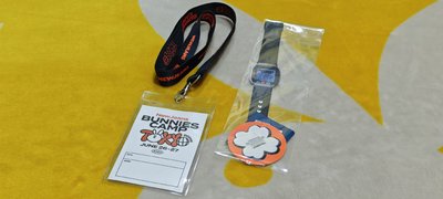 NewJeans BUNNIES CAMP 2024 東京巨蛋場 入場識別卡套+手錶紙腕帶