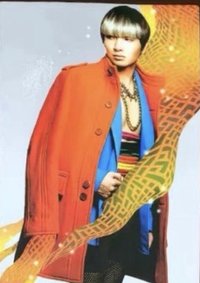 STAR COLLECTION 周邊卡 