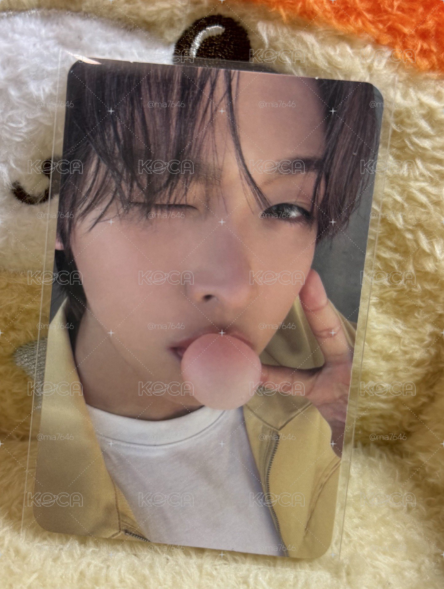 🌰RIKU 
