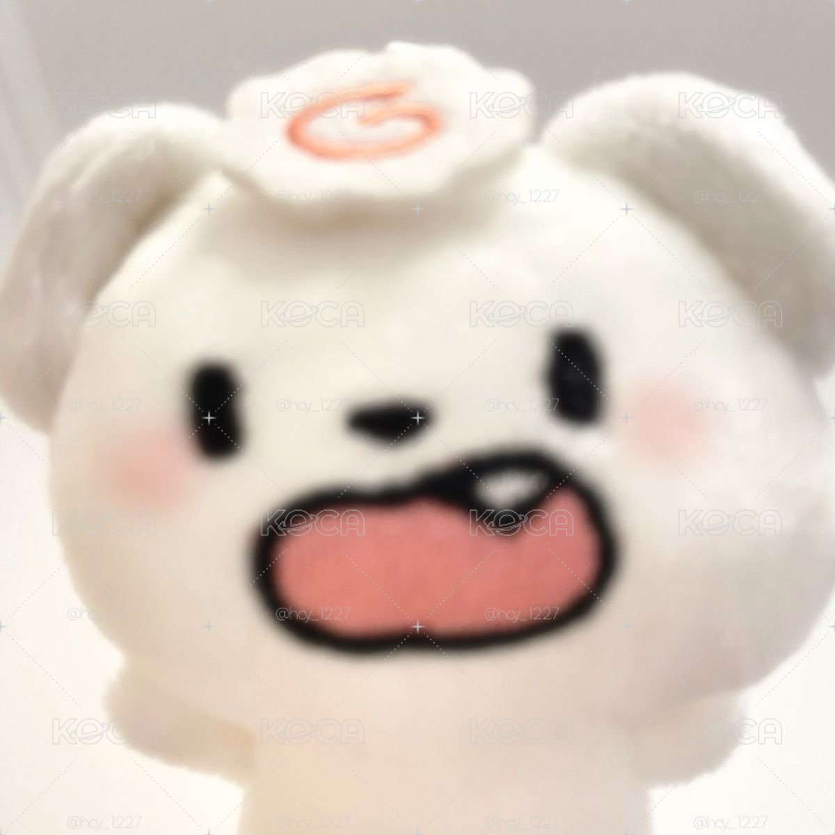 賣場規則補充ᶻz