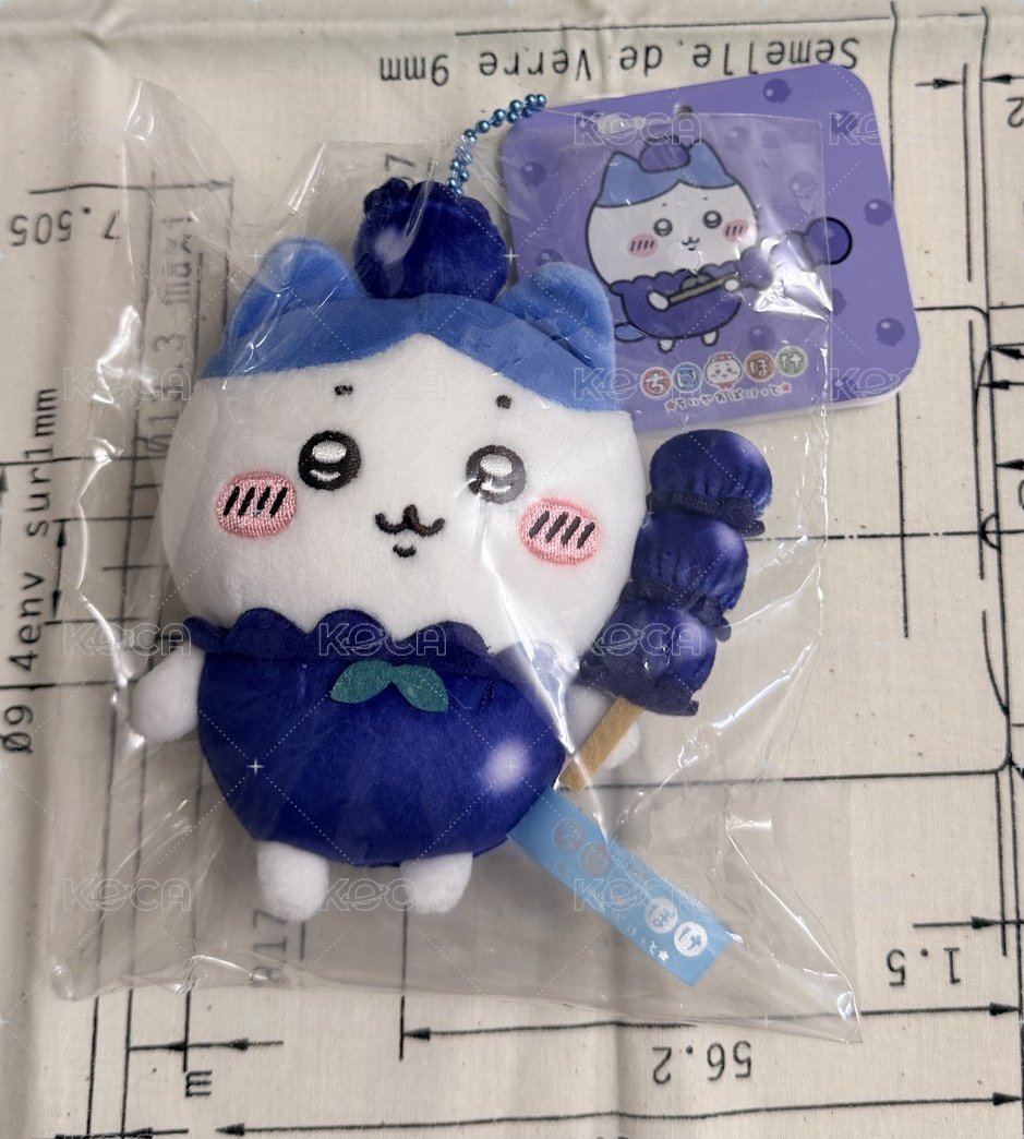 藍莓小八