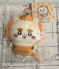 橘子獅薩