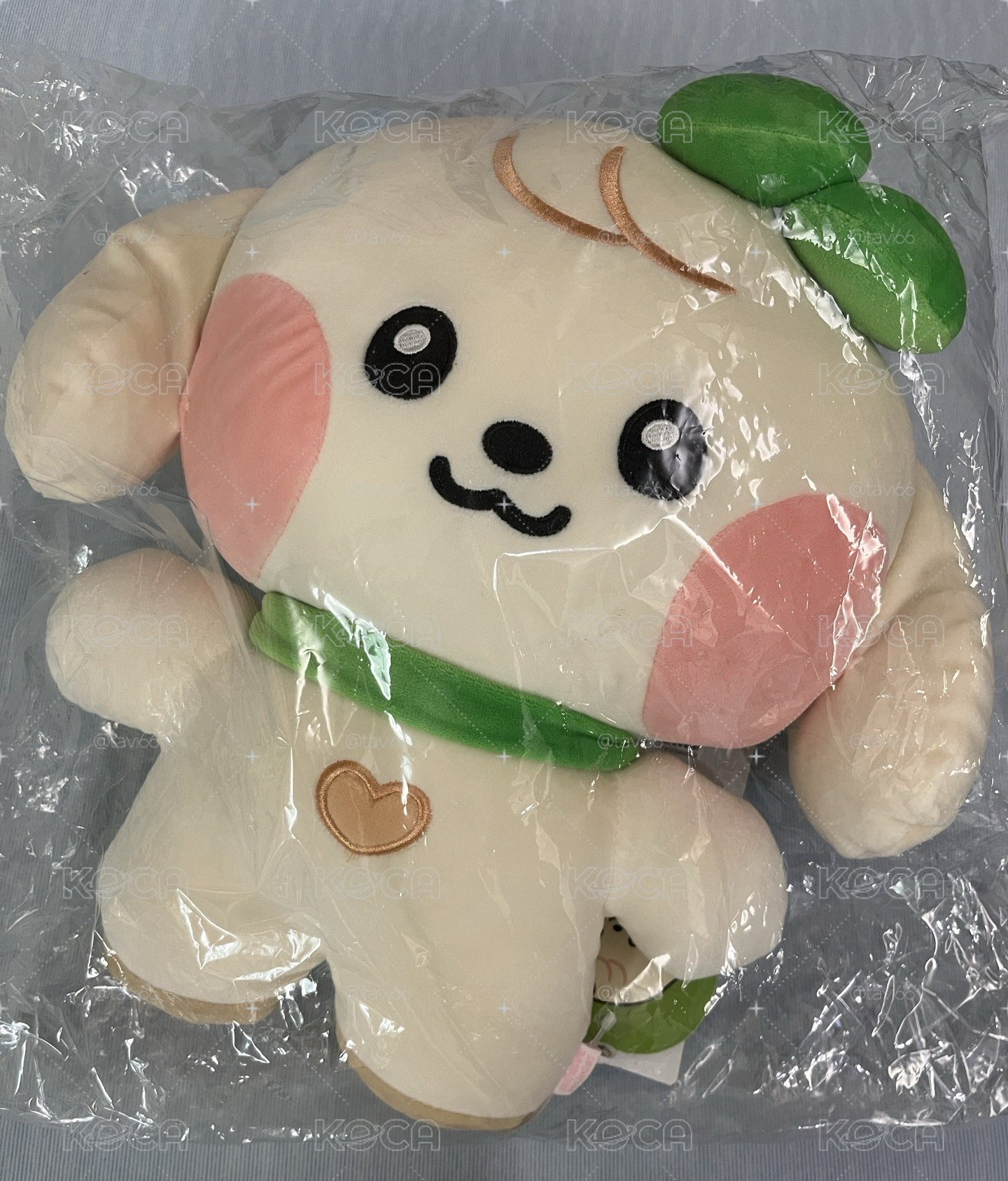 LINE FRIENDx MINIVE