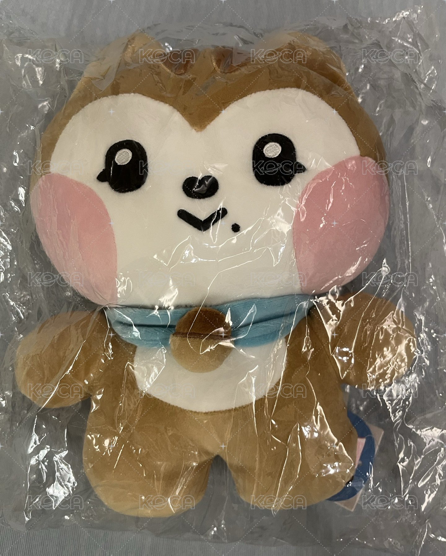 秋大娃