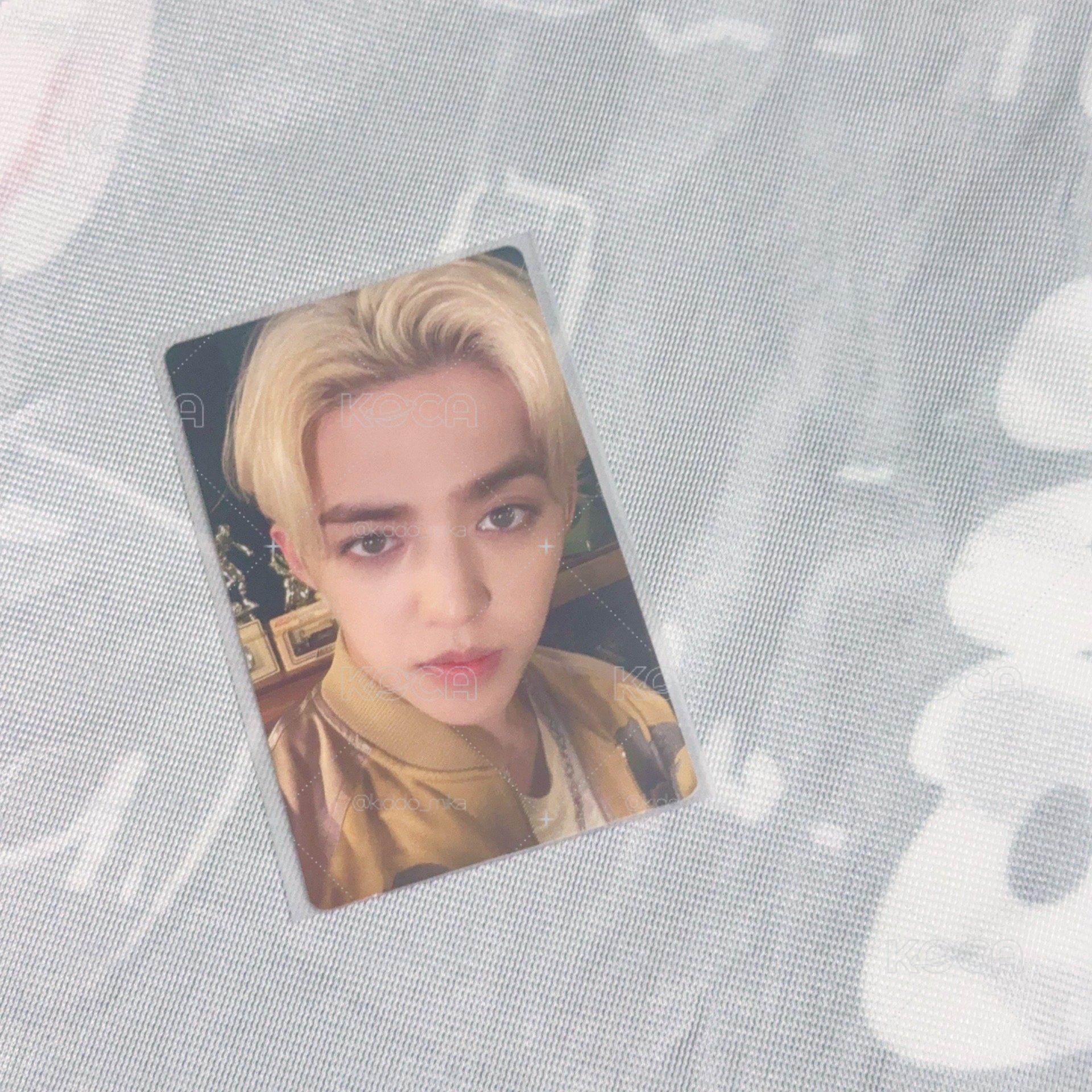 哲 MINI11 塔店 PB ver 特典卡🧊