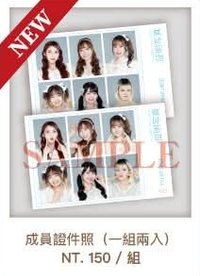 sp 成員證件照