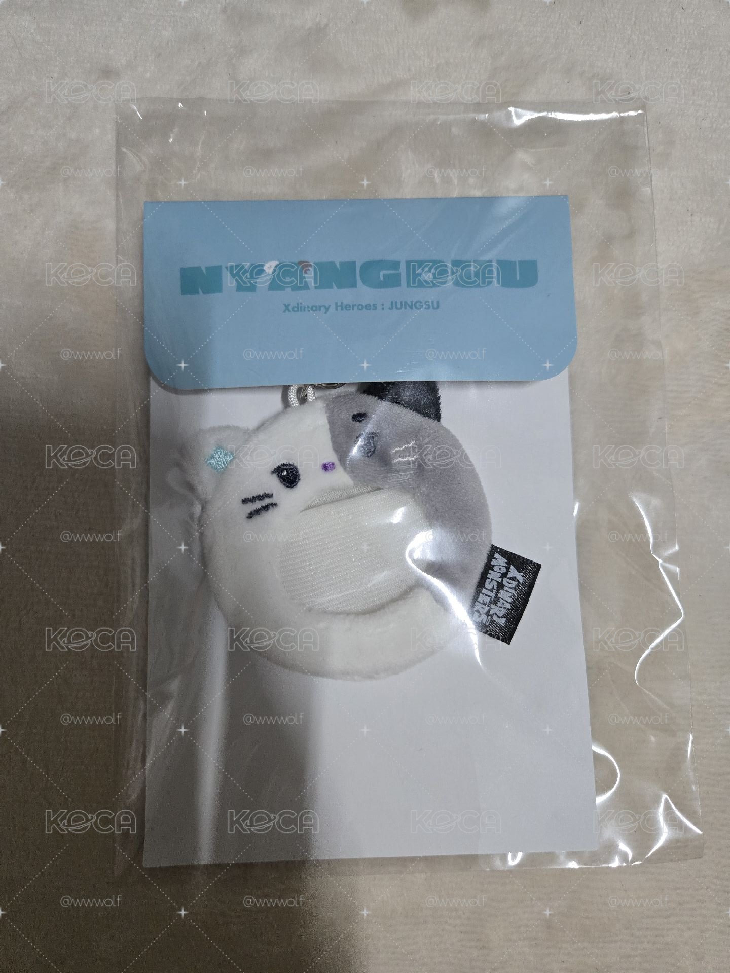 Jungsu 徽章套