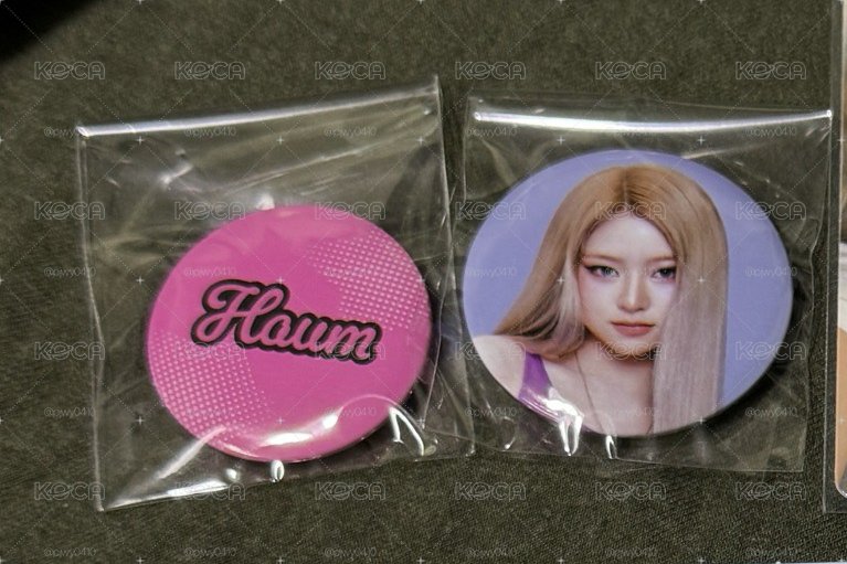 Haum fancon 隨機徽章