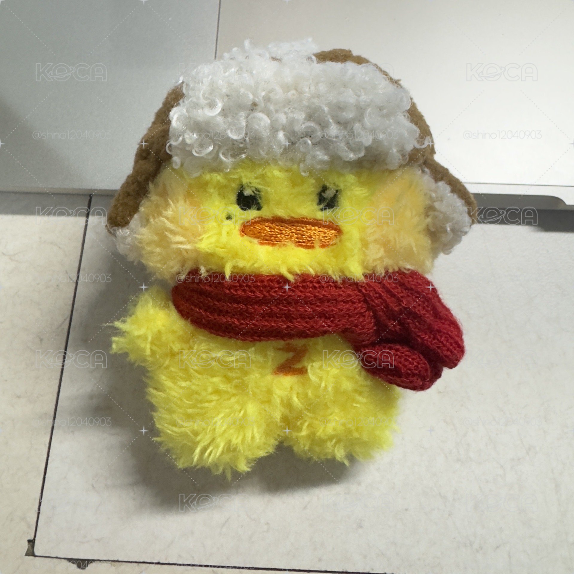 冬季泰尼尼