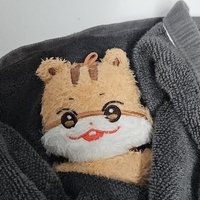 卡西