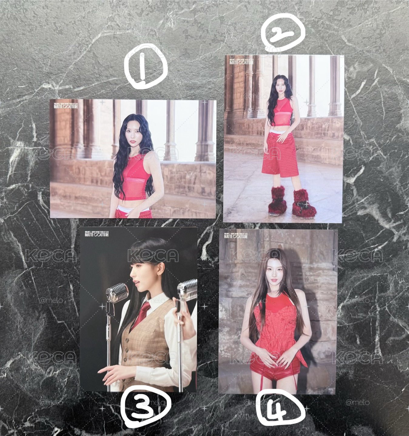 🐹🐧紗南東蛋大卡 set