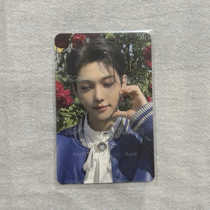 睡美人菲