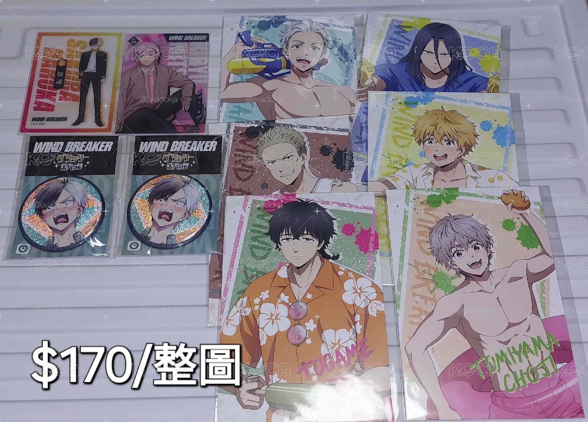 防風少年全新徽章櫻遙2顆+收集卡+特典明信片6張