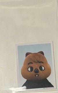 FC演唱會證件照