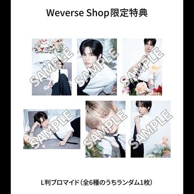 TWS 🐈‍⬛娃專現貨 日通(含L判特典) / 韓通 
