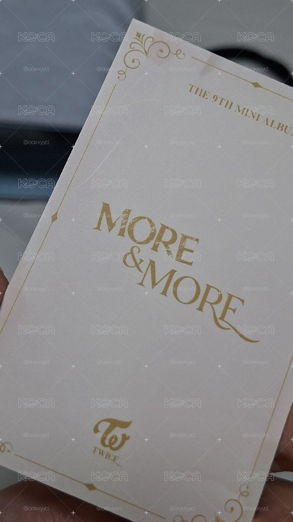 MORE & MORE wd 閃卡紗