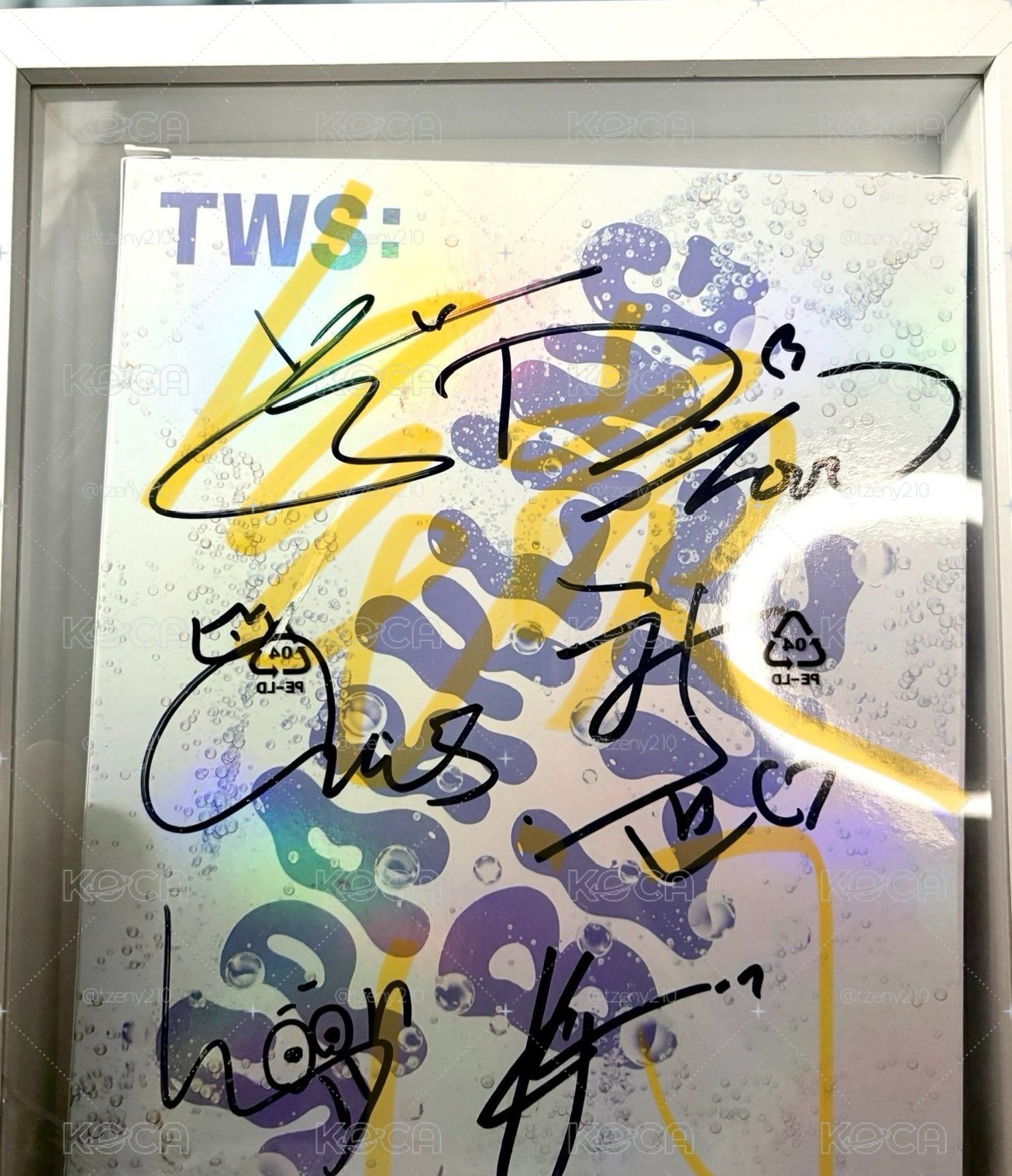 紫版出道專團簽