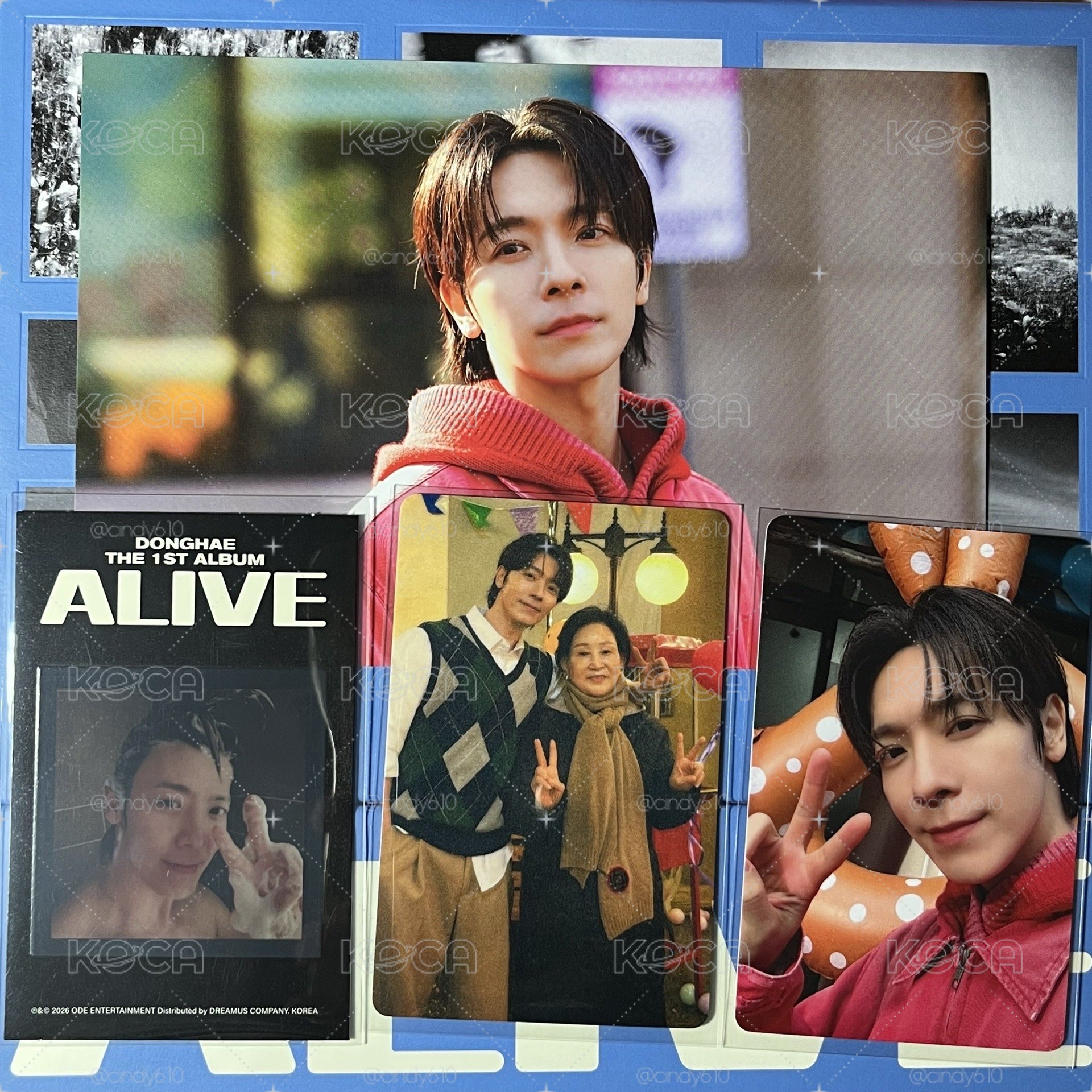 李東海ALIVE專 PB版 全專