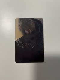 趴睡莉