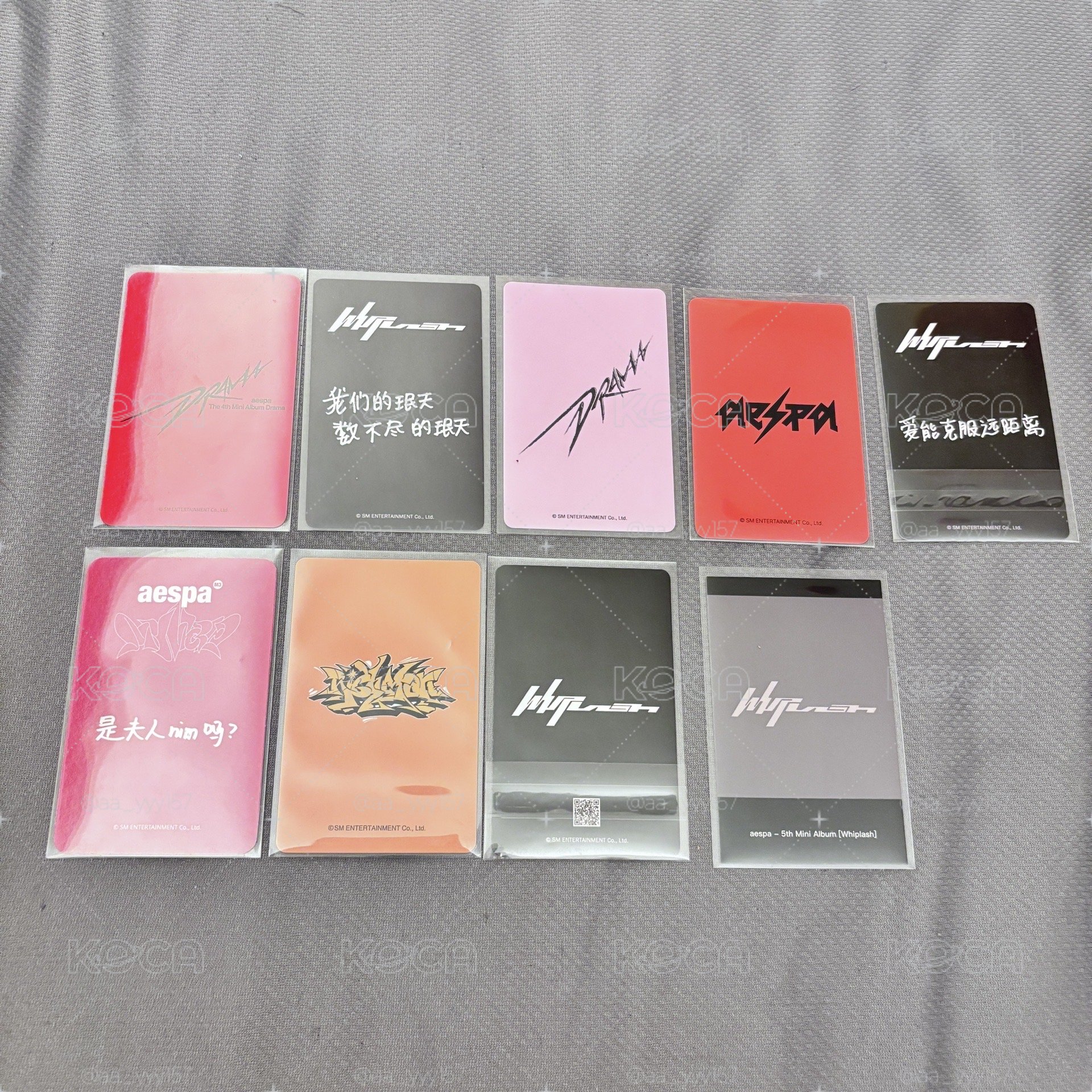 豬豬蛇來啦💗