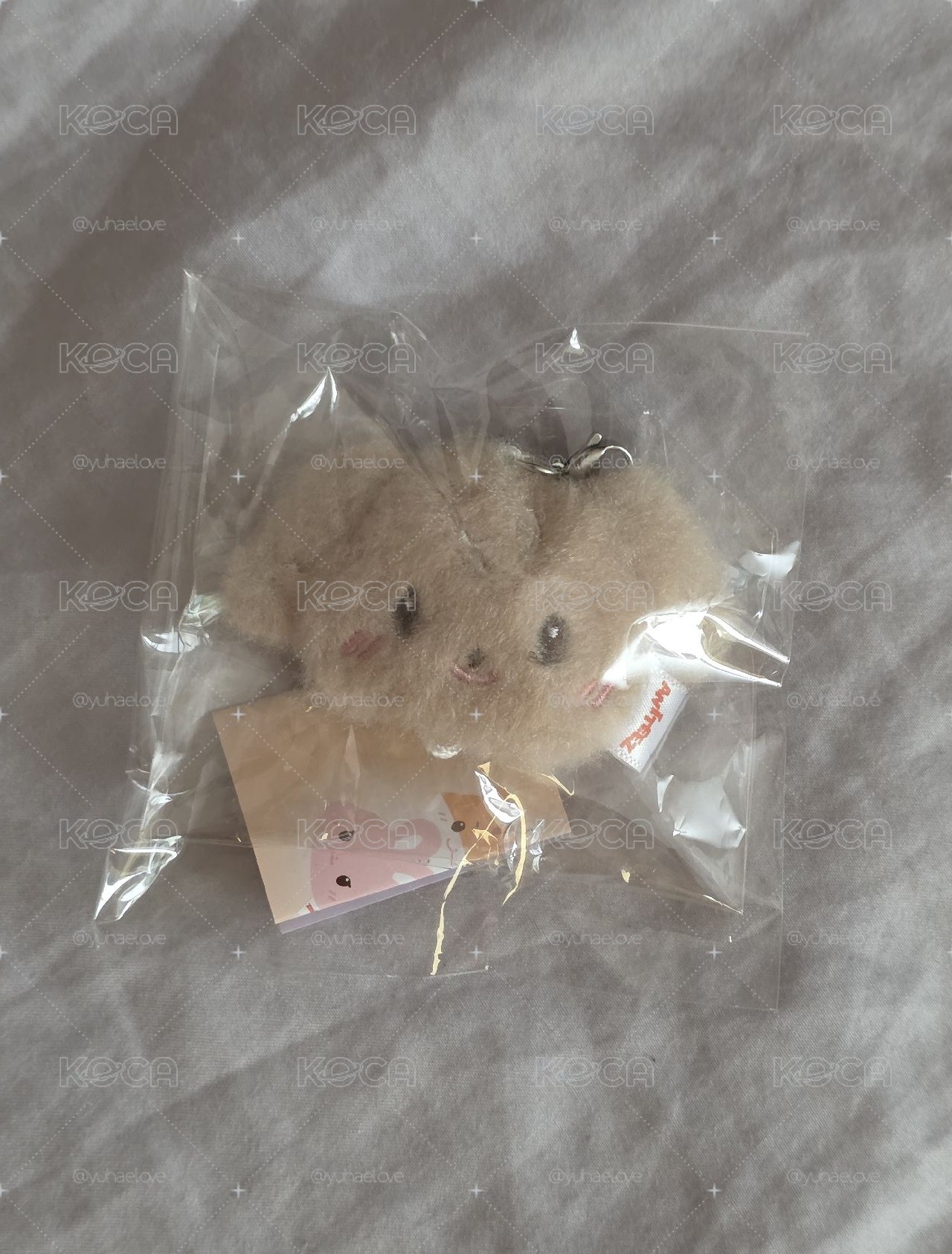 ANITEEZ IN COLOR LINKABLE FACE KEYRING 扭蛋鑰匙圈吊飾 潤浩(TYU咚兒)