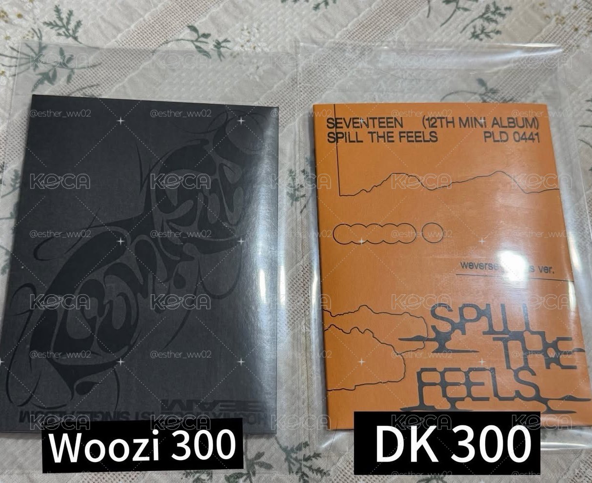 HxW woozi 電子專