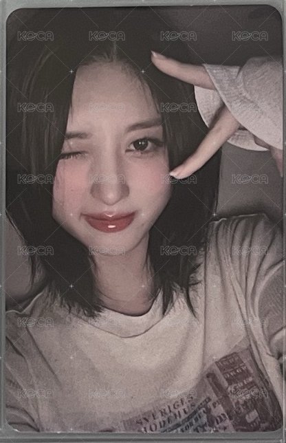 貓耳秋秋