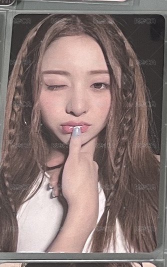 wvs雪狐wink