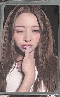 wvs雪狐wink