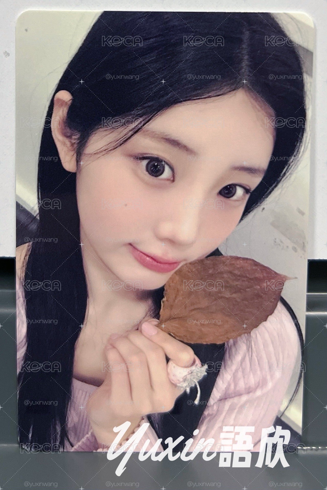 現貨✅ ILLIT 沅禧 NOT CUTE ANYMORE 專輯 一直娛 yzy 楓葉 特典 小卡