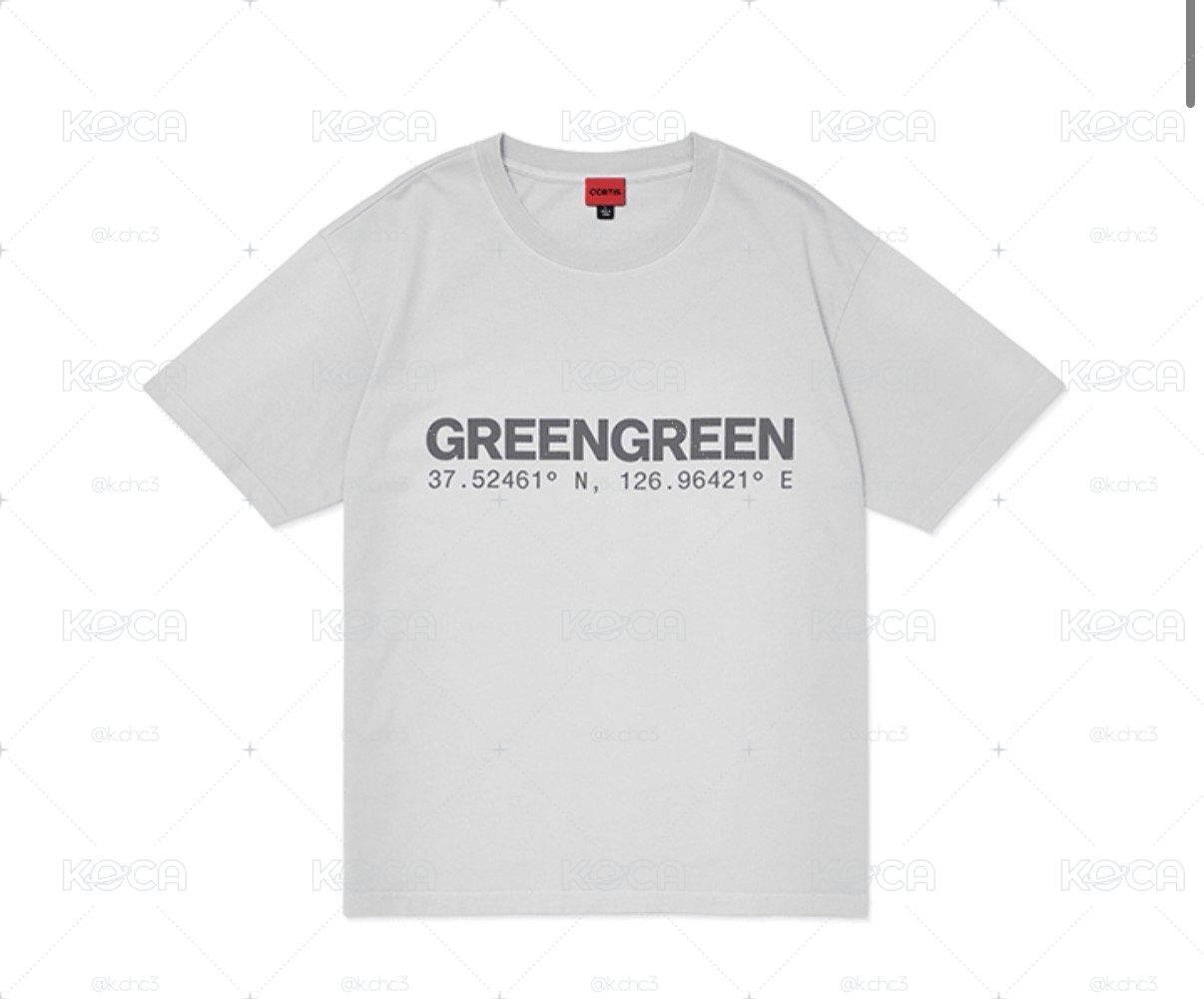 Greengreen T-shirt 灰色短袖上衣