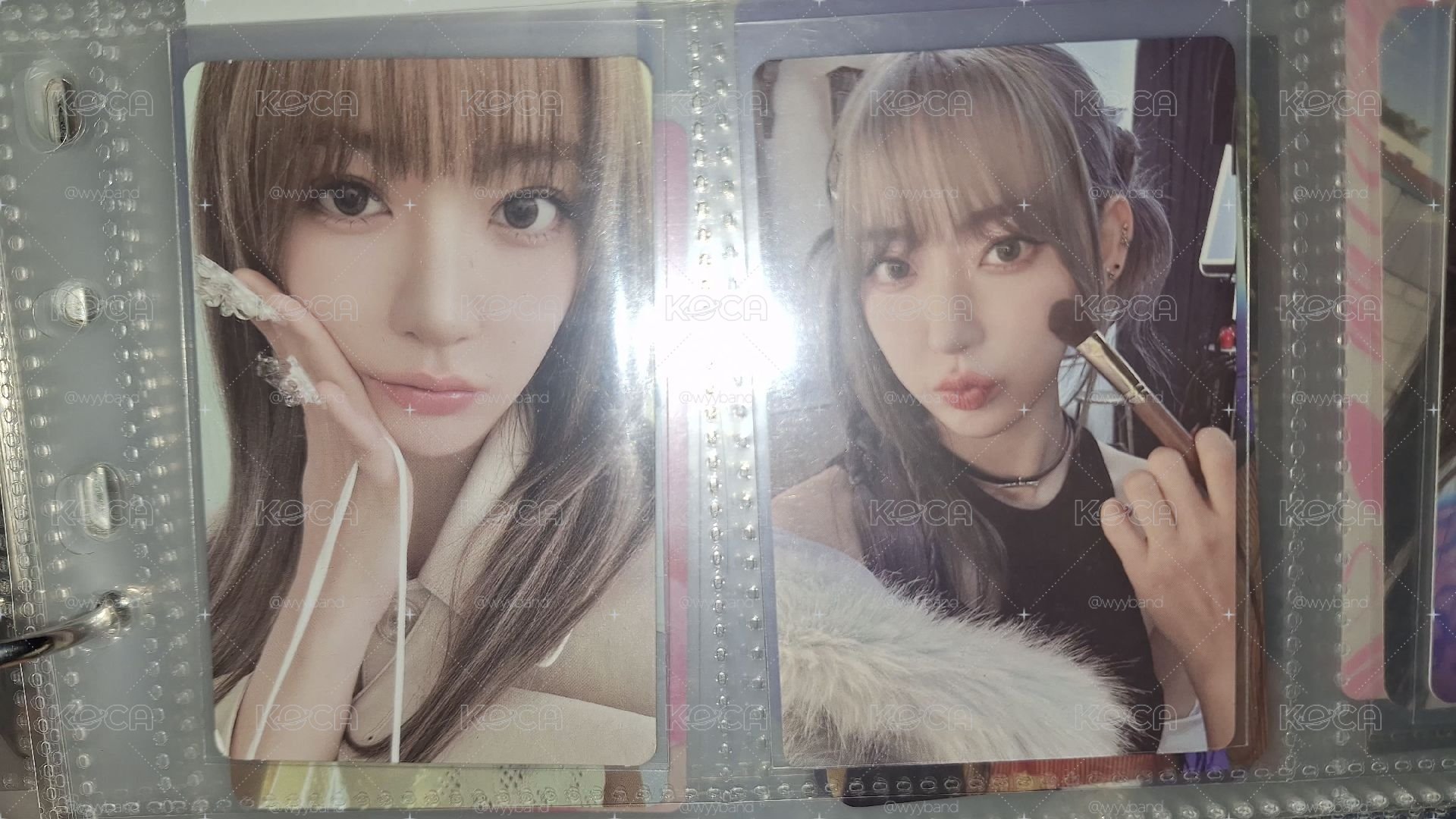 美麗小櫻花
