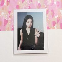 撕拉拍立得（員）已撕