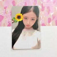 二星怜
