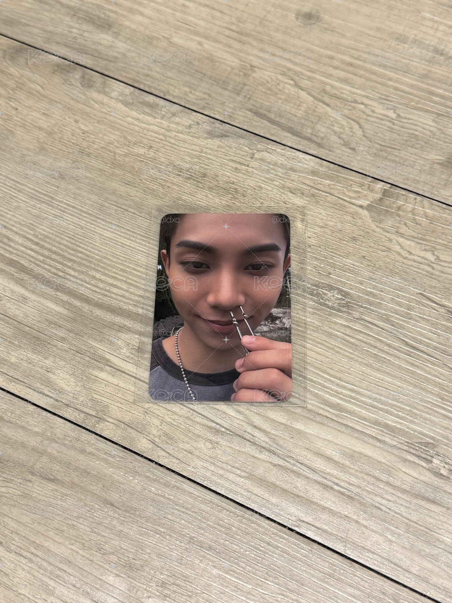 鼻孔栗哥
