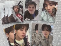 wvs預售馬