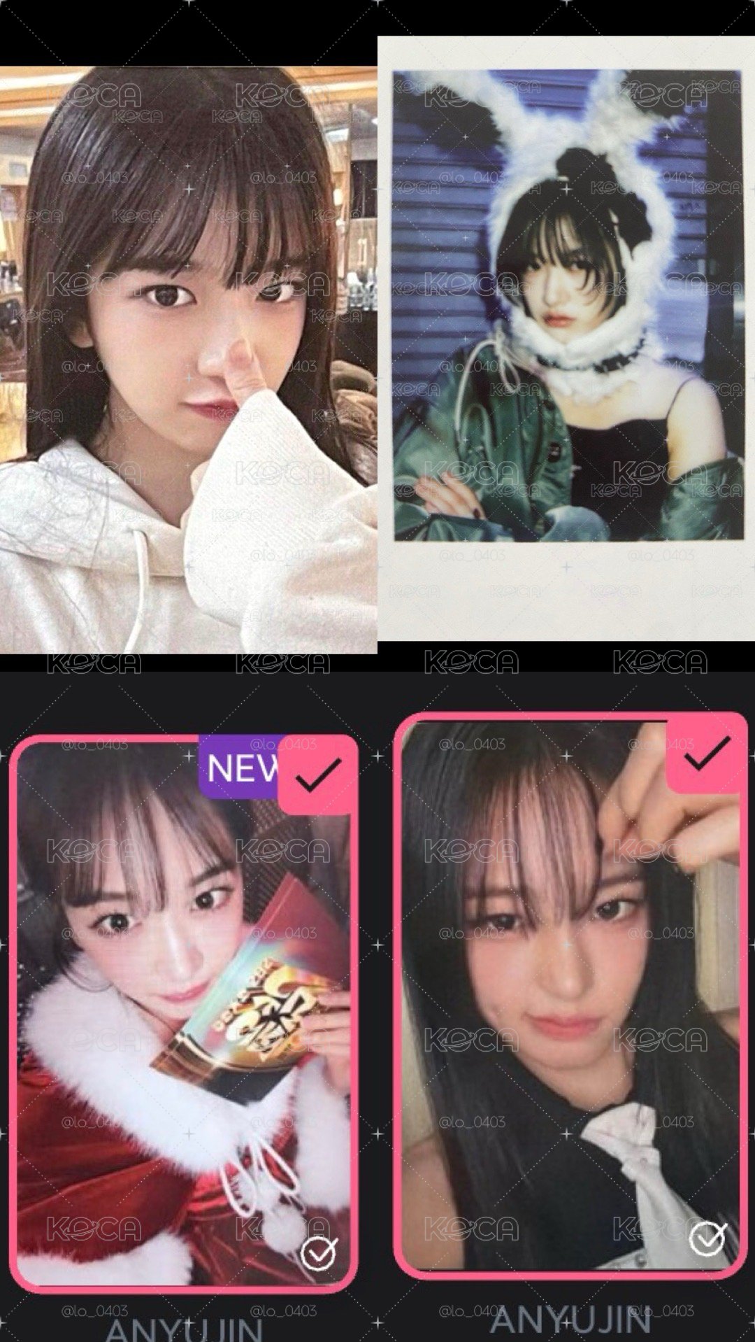 安卡