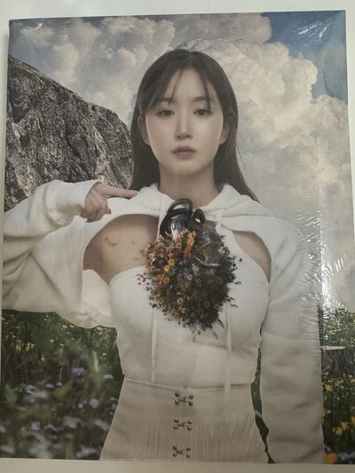 現貨 吳海嫄油畫專未拆有損