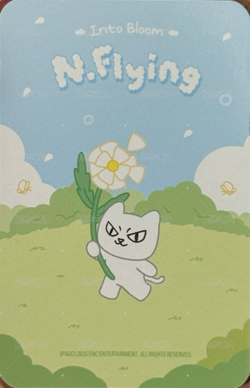 Into Bloom 快閃店 卡套 周邊卡  背面