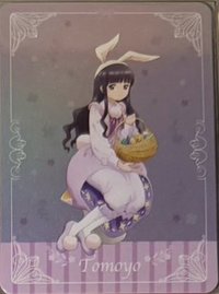 兔兔知世