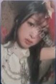 춤 (CHOOM) Fnac 歐洲 特典卡 
