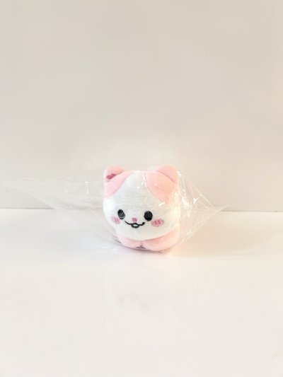 現貨 ITZY TWINZY 暖手寶 趴娃 娃娃 禮志 留真 有娜 彩領 LIA